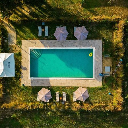 Agriturismo Anfora Della Vita Massa Marittima Ngoại thất bức ảnh