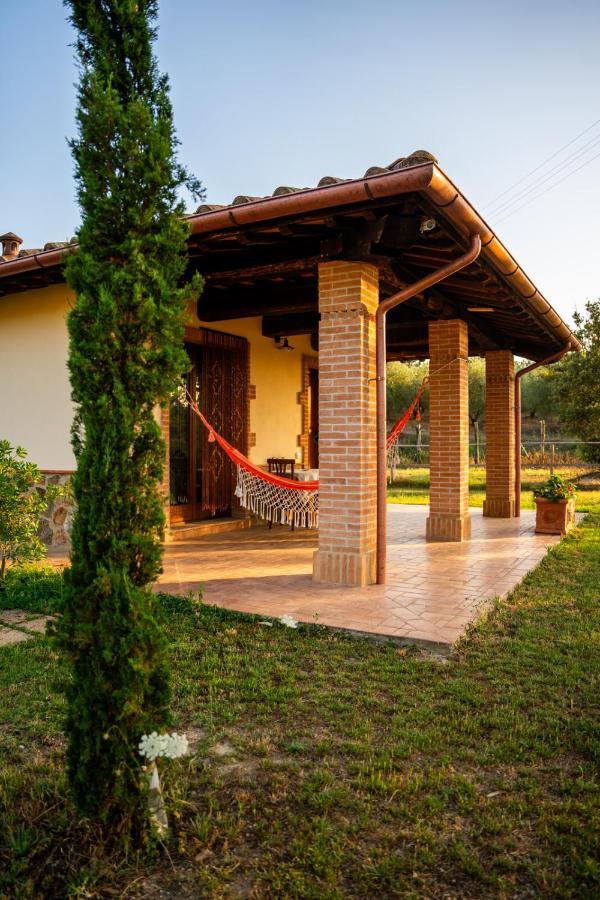 Agriturismo Anfora Della Vita Massa Marittima Ngoại thất bức ảnh