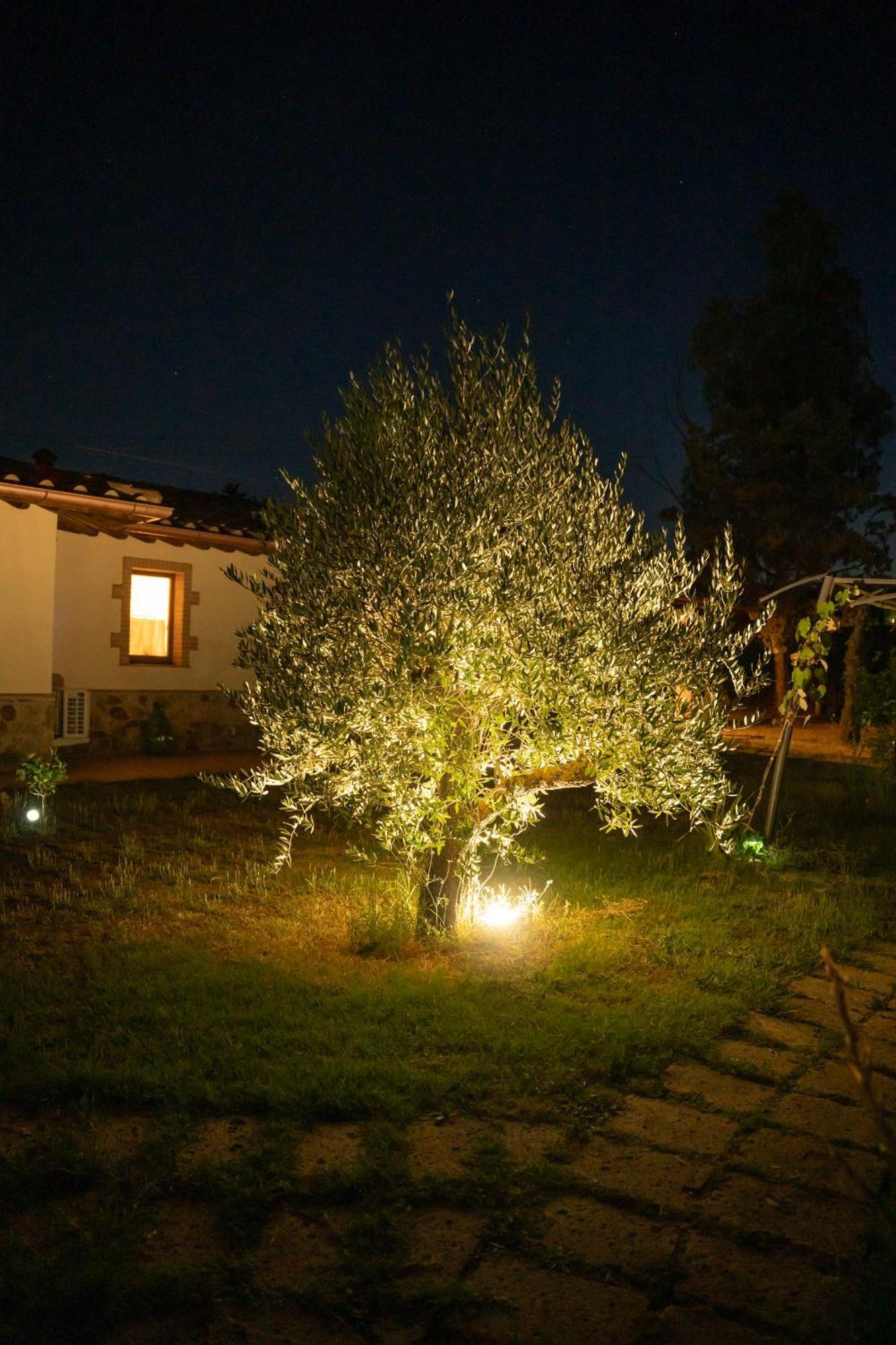 Agriturismo Anfora Della Vita Massa Marittima Ngoại thất bức ảnh