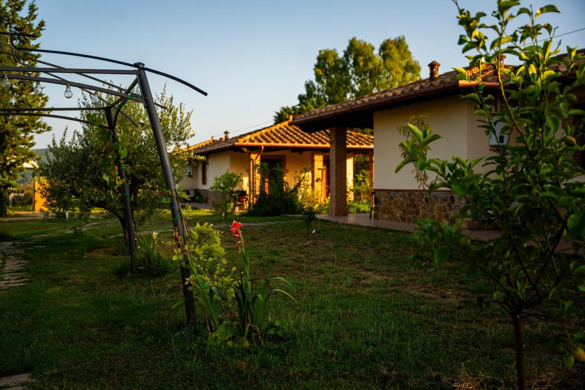 Agriturismo Anfora Della Vita Massa Marittima Ngoại thất bức ảnh