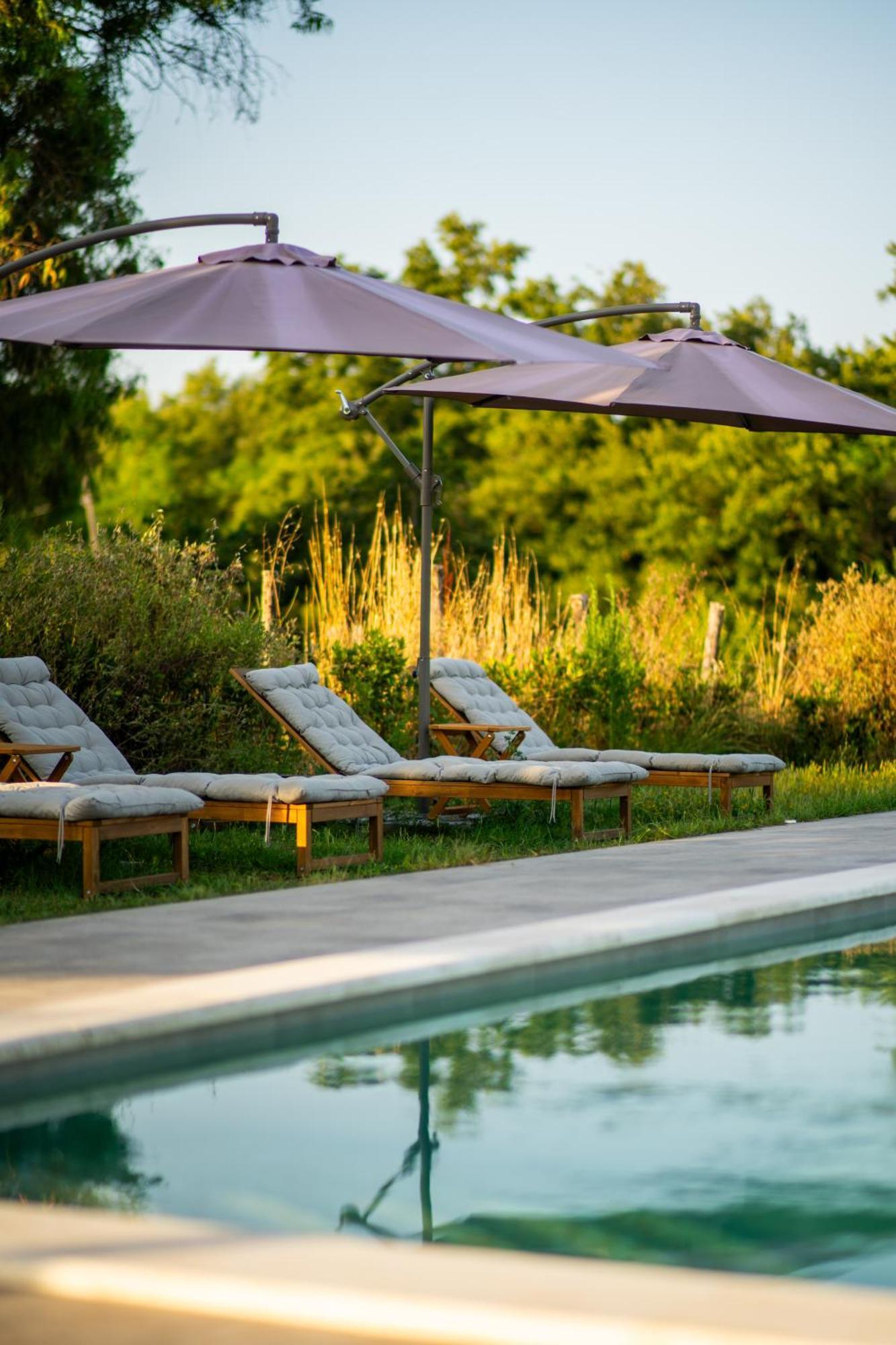 Agriturismo Anfora Della Vita Massa Marittima Ngoại thất bức ảnh